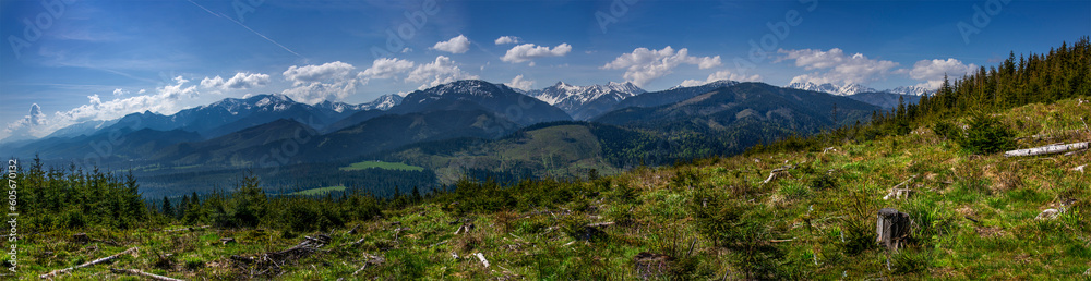 Panorama Witowski Przysłop ze szczytu - widok na Tatry