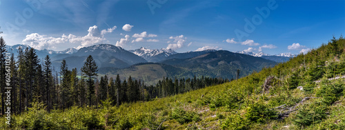 Panorama Witowski Przysłop ze szczytu - widok na Tatry Zacho…