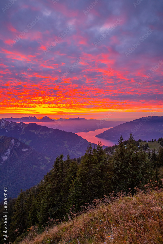 Beautiful Lake Thun view from Schynige Platte trail in Bernese Oberland, Canton of Bern, Switzerland. Popular mountain in the Swiss Alps called Schynige Platte in Switzerland, aerial view. Beautiful Lake Thun view from Schynige Platte trail in Bernese Oberland, Canton of Bern, Switzerland. Popular mountain in the Swiss Alps called Schynige Platte in Switzerland, aerial view.