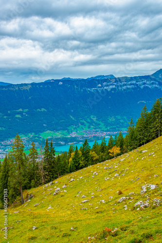 Beautiful Lake Thun view from Schynige Platte trail in Bernese Oberland, Canton of Bern, Switzerland. Popular mountain in the Swiss Alps called Schynige Platte in Switzerland, aerial view.