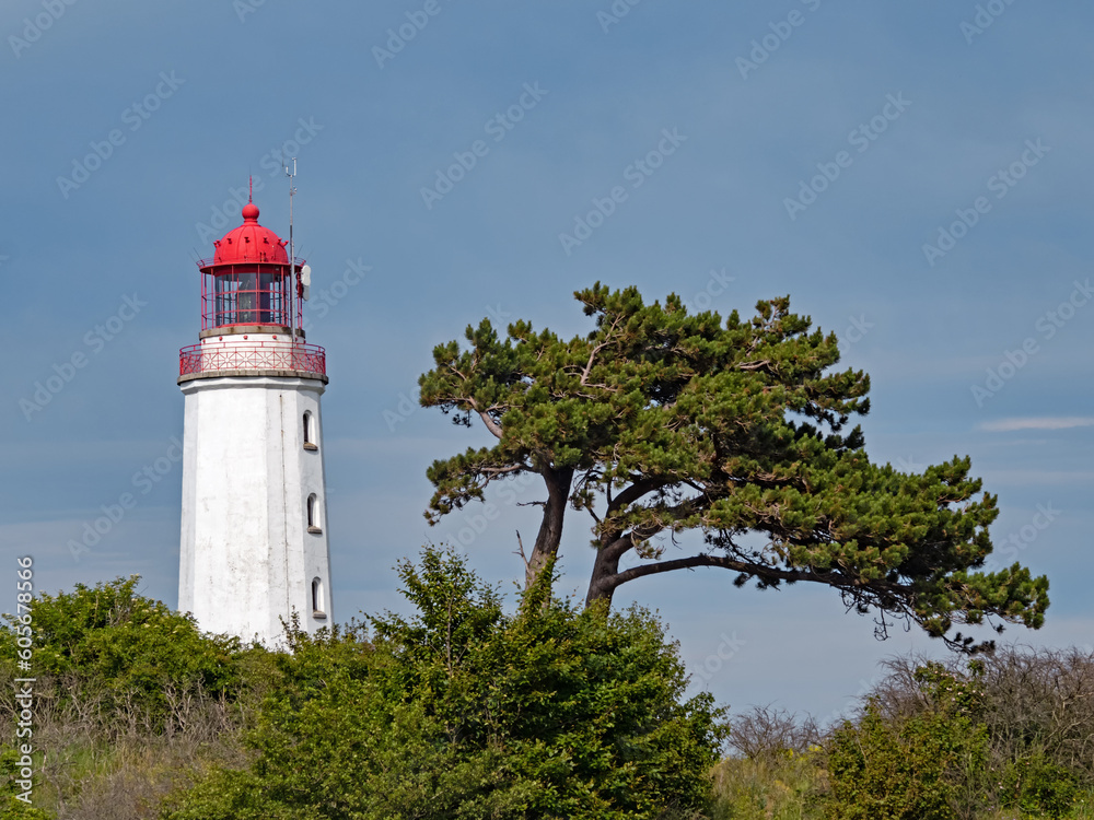 Leuchtturm Dornbusch auf der Insel Hiddensee, Deutschland