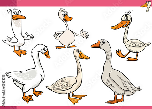 cartoon geese farm birds animal characters set