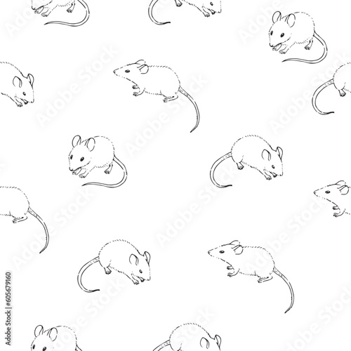 Vector hand-drawn seamless pattern with white mouses isolated on white. Endless texture with cute animals in sketch style. © mashikomo
