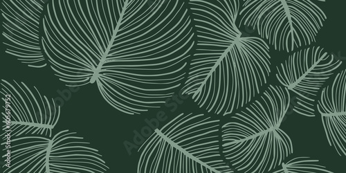 Fototapeta Naklejka Na Ścianę i Meble -  Luxury Nature green background vector. Floral pattern, Golden split-leaf Philodendron plant with monstera plant line arts, Vector illustration.