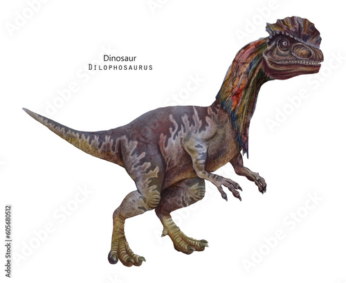 Fototapeta Naklejka Na Ścianę i Meble -  Dilophosaurus illustration. Dinosaur with crest on head. Brown, violet dino