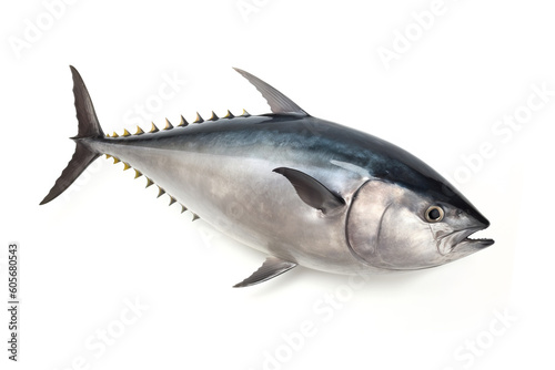 image of northern bluefin tuna on white background. Underwater Animals. Foods. illustration, generative AI. © yod67
