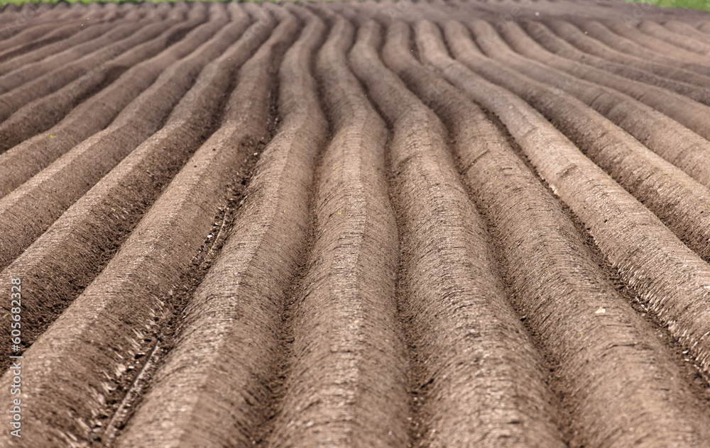 plowed field in spring