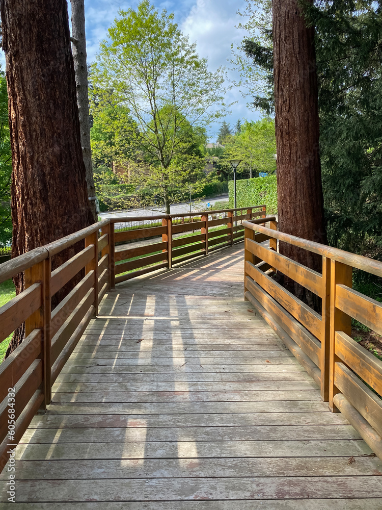 wooden bridge in the forest