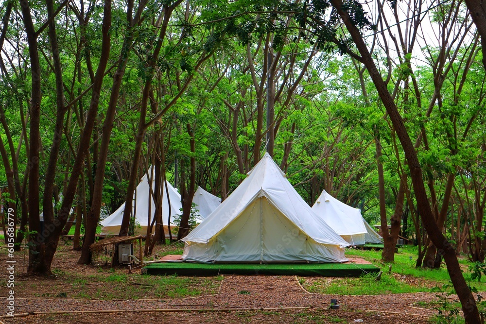 Camping tents in the forest for leisure and relax. White teepee tent at glamping.
