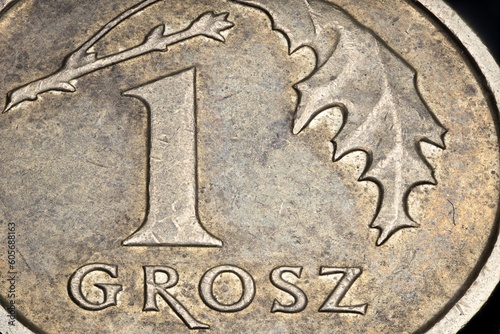 1 grosz  i.e. Polish cent shown close-up in high resolution