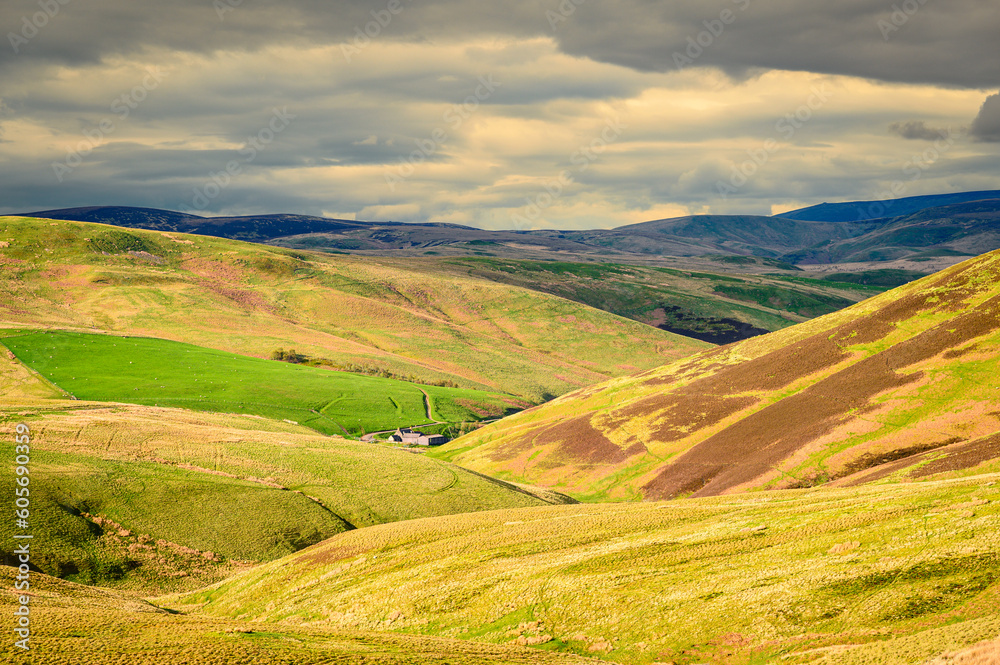 Hillfarm in Upper Coquetdale, as the River Coquet rises on soggy ground in the Cheviot Hills close to the Anglo-Scottish Border in Northumberland National Park
