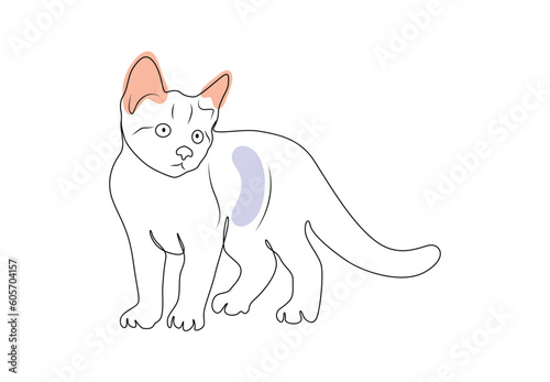 Cat Line Art, Animal Illustration, Minimalist Outline Drawing, Kitty Sketch, Vector File, Black Draw Pro Vector illustration.