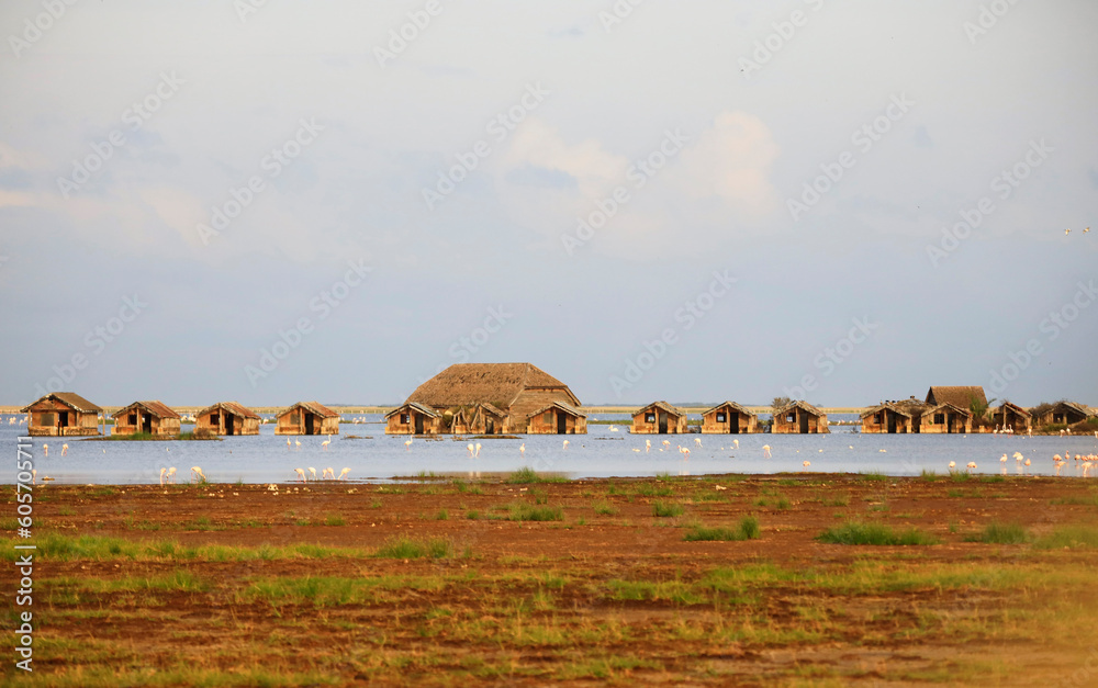 Landscape in Amboseli National Park, Kenya, Africa Landscape in Amboseli National Park, Kenya, Africa