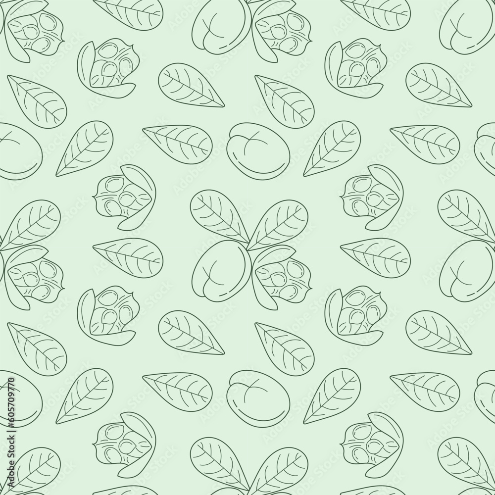 Ackee and leaves seamless pattern. Hand drawn ackee endless texture. Linear exotic fruit background. Blighia sapida sketch, Organic food. Vector illustration