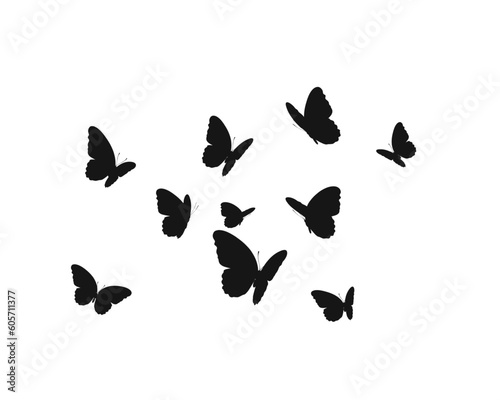 butterflies silhouettes set black vector