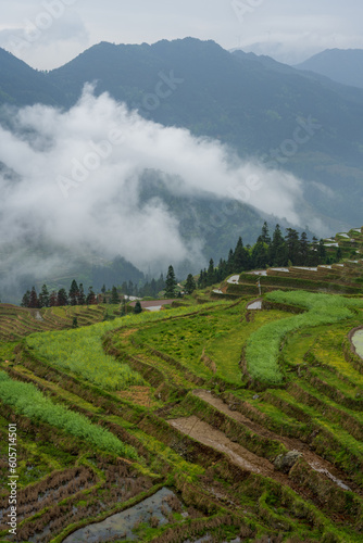 landscape of terrace fields, forest and villages in fog and clouds © imphilip