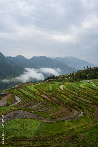 landscape of terrace fields  forest and villages in fog and clouds