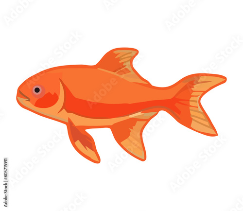 Cute goldfish swimming tropical