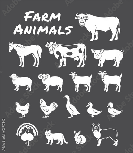 Domestic farm animals solid silhouette illustrations. White pictograms on dark background. Simple outline elements of large and small cattle, fowl, horse, pig, turkey, rabbit, other livestock