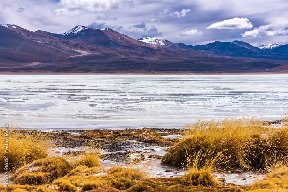 Winter landscape with frozen lake and mountains in the bolivian plateau
