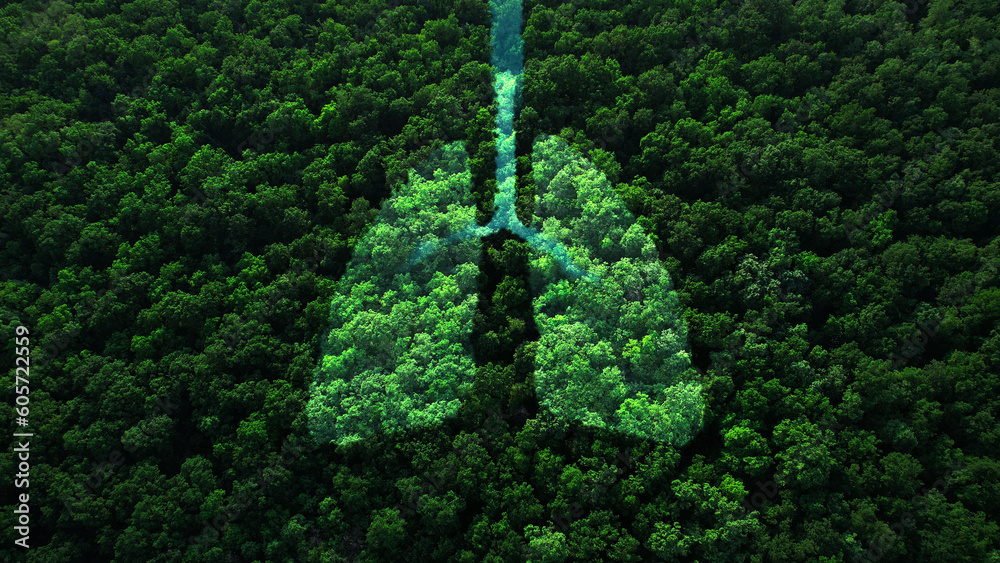 Shape of lungs in  middle of forest with a view from above. Concept of nature protection, cleanliness, breathing and natural reduction of CO2. - obrazy, fototapety, plakaty 