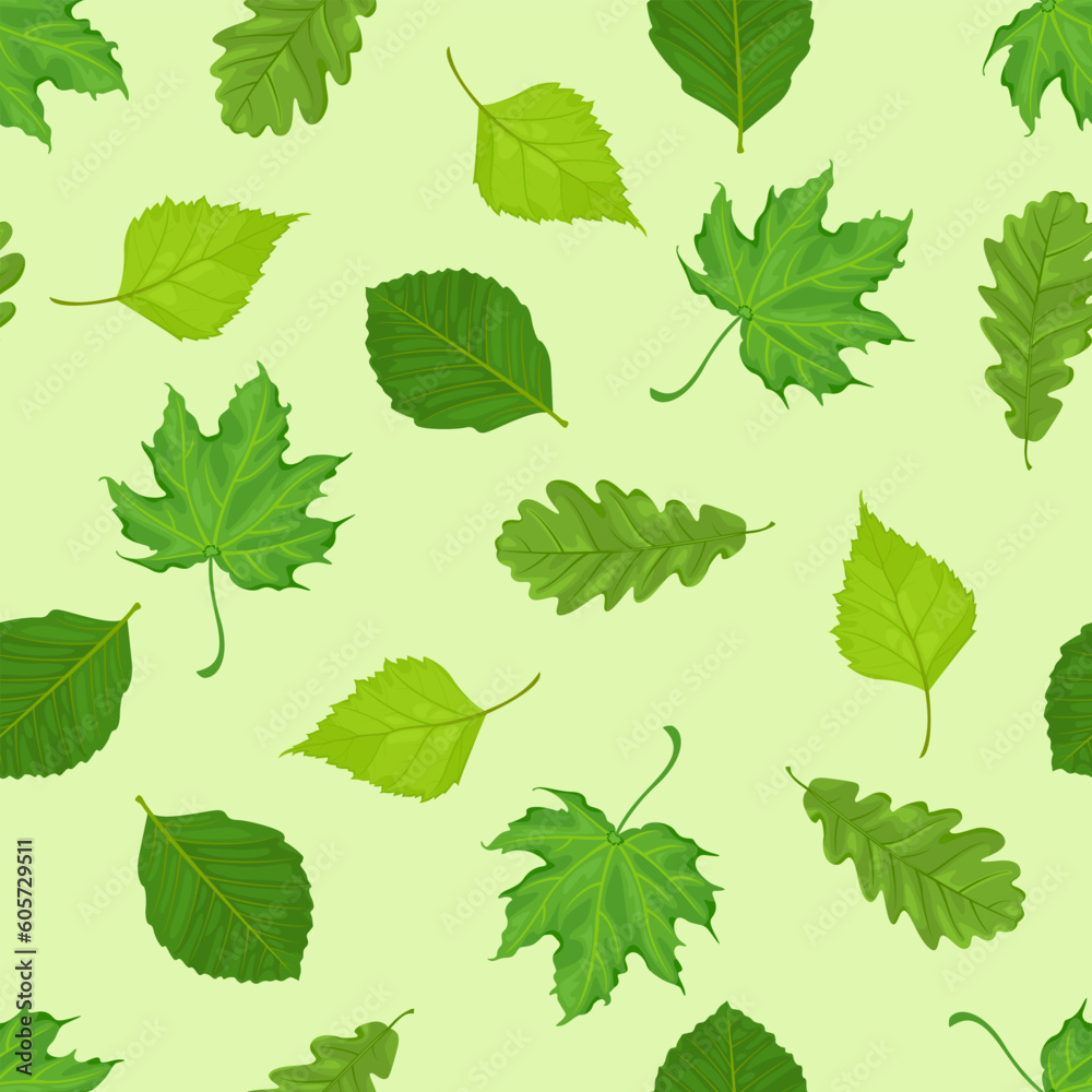 Green leaves of different trees. Seamless pattern with maple, oak, elm and birch leaf. Vector botanical illustration. Green leaves of different trees. Seamless pattern with maple, oak, elm and birch leaf. Vector botanical illustration.
