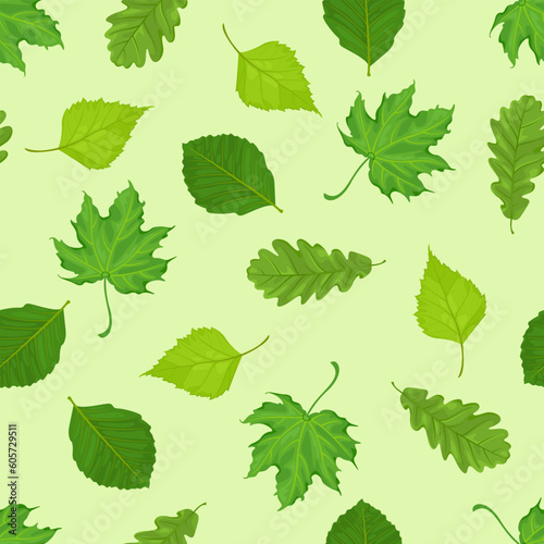 Green leaves of different trees. Seamless pattern with maple, oak, elm and birch leaf. Vector botanical illustration.