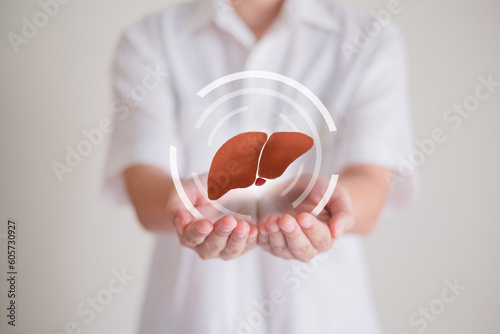 Hand's holding liver, concept of liver and organ donation or charity, hospital, anatomy, diagnosis, cancer, disease donor support, health care of life and family, insurance background with copy space.