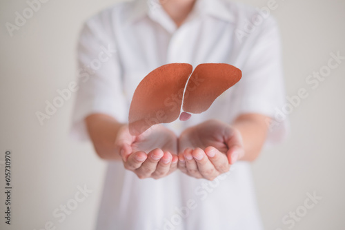 Close up of Hand's holding liver, concept of liver and organ donation or charity, hospital, anatomy, diagnosis, cancer, disease donor support, health care of life and family, insurance background 