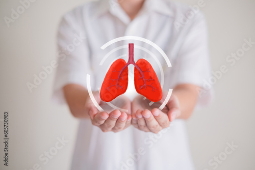 Hand's holding lung, concept of lung and organ donation or charity, hospital care, anatomy, infectious, covid, cancer, chest, smoke, asthma and breath, insurance, background with copy space.