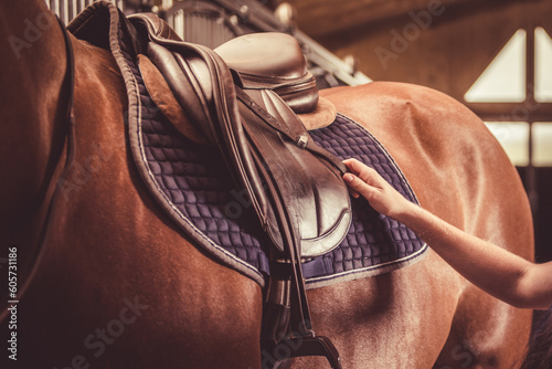 Adjusting saddle on the horse. Equestrian sport theme.