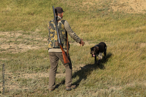 Mature man hunter with gun while walking on field with your dogs