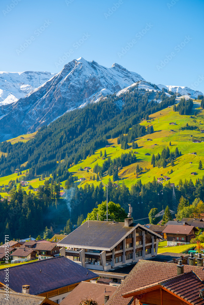 Beautiful Village nearby mountain, Switzerland