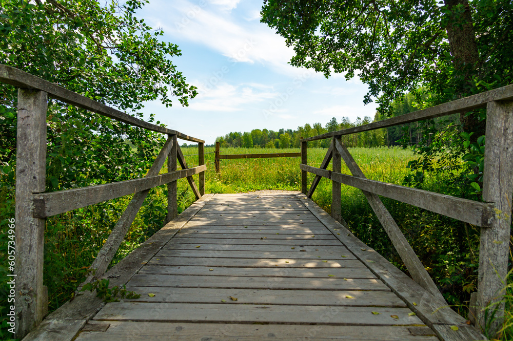 Small wooden bridge leading to a field of tall grass on a sunny summers day.