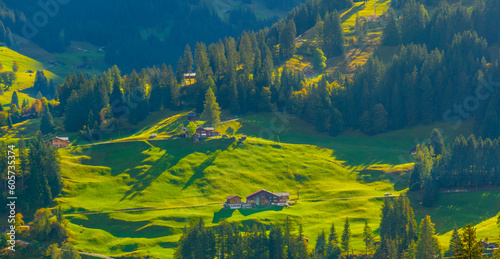 Beautiful Village nearby mountain, Switzerland