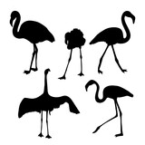 Collection silhouettes of flamingo birds. Vector illustration. Isolated elements tropical birds for design, decor on white background.