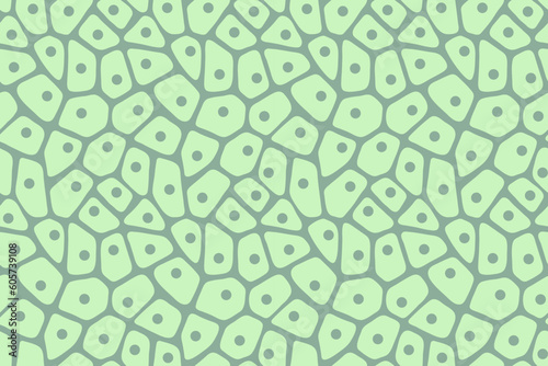 Seamless plant biological cell pattern