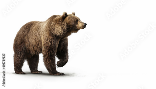 Bear isolated on white background  Generative AI