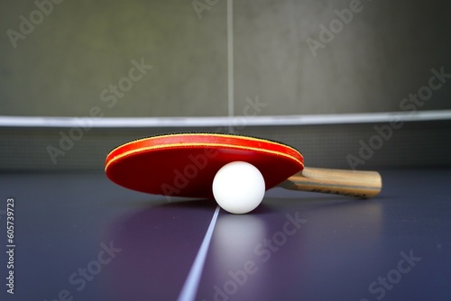 Obraz na plátně ping pong