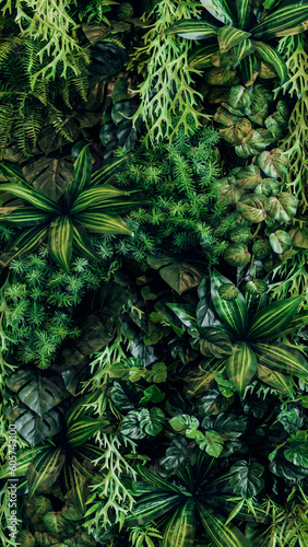 Herb wall, plant wall, natural green wallpaper and background. nature wall. Nature background of green forest