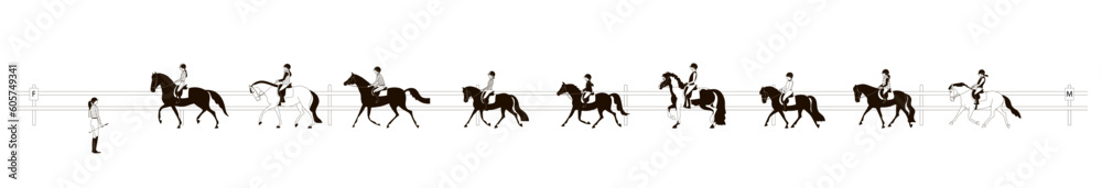 Group of riders in training, horses of different breeds and colors, vector illustration
