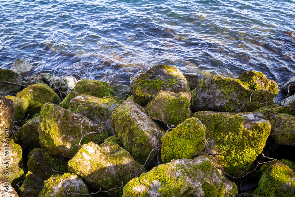 Stones with moss on the lake of Evian in France