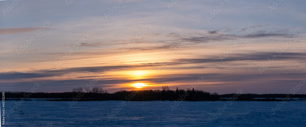 Sunset landscape over a field in the prairies with trees