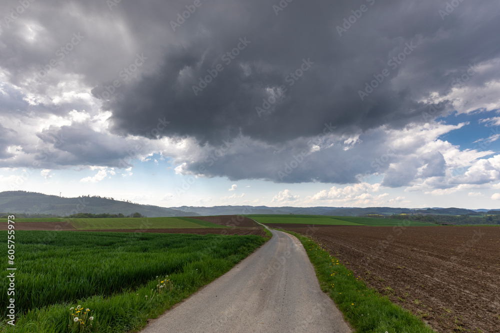 Fototapeta premium Regenwolken mit einsamer Strasse zum Horizont