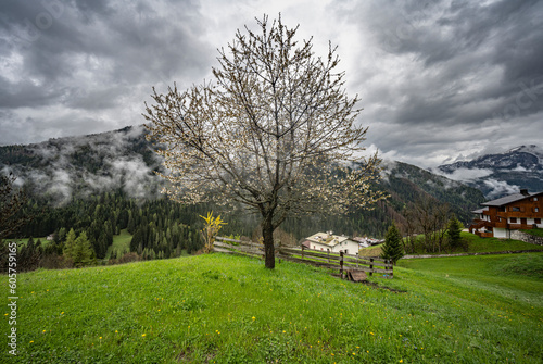 landscape with sky