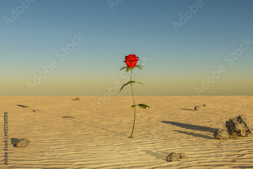 Obraz na plátne single rose growing in desert environment; arid dry concept; 3D Illustration