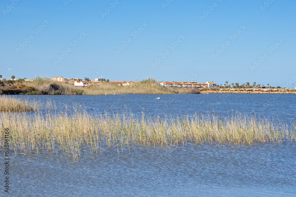Beautiful saltwater lagoon with protected bird species in San Pedro del Pinatar, Murcia, on a sunny day