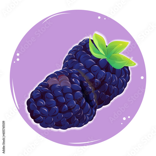 Two blackberries on a violet round background