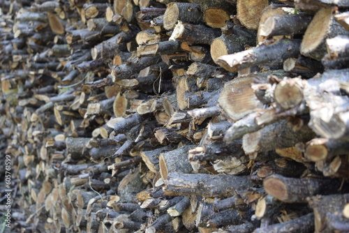 Neatly chopped and stacked fruit firewood.