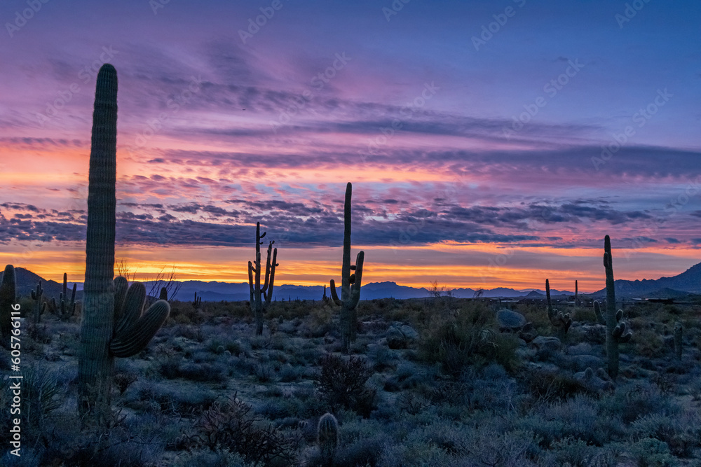 Panoramic AZ Sonoran Desert Sunrise Landscape